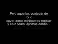 videos de RIMA LIII