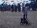Schutzhund Puppy Obedience Schutzhund Puppy Obedience