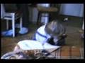 videos de карапуз