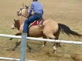 Rick on Jessie at Beaudesert Campdraft Rick on Jessie at Beaudesert Campdraft