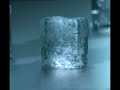Best advertisng Insurance