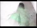 Carcass - Incarnate Solvent Abuse