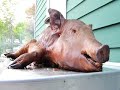 Base Camp Pig Roast