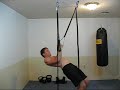 Bodyweight Workout Straps VegasPro Bodyweight Workout Straps VegasPro