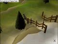 Runescape Fast Run