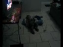 baby te kieroo