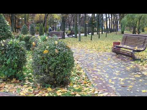 Барановичи день за днем. 20.10.26