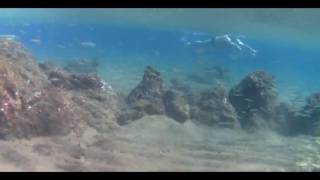 Snorkelling - Puerto del Carmen