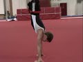 2006 Wisconsin Mens Gymnastics - Swiss Turners Summer Skills 2006 Wisconsin Mens Gymnastics - Swiss Turners Summer Skills