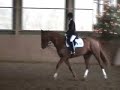 Extra & Gwen - E Dressur Extra & Gwen - E Dressur
