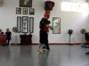 Torneo de Sanda Choy Lee Fut Vnzl Torneo de Sanda Choy Lee Fut Vnzl