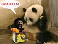 Animated Gif: The Movie: This is SPARTA! Animated Gif: The Movie: This is SPARTA!