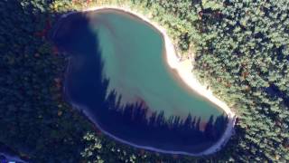 Canada Fall Foliage (4K HD Drone Video)