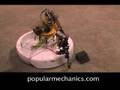 Open Source Roomba - New Robot Picks Up Stuff... Sorta