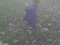 discovering dandelion