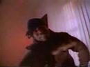 flava unit   roll with the flava  remix 