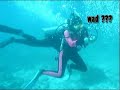 Diving or Cycling Diving or Cycling