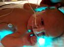 Jaxon\