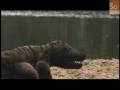 Mammals Vs. Dinos- Dinosaur Hunting