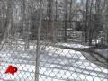 Woman Feeds Bear, Loses Fingers