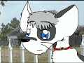 warriors-of-the-forest-into-the-wild-part-1.html