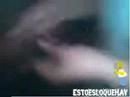 locuras de diosimar