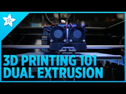 3D Printing - Dual Extrusion