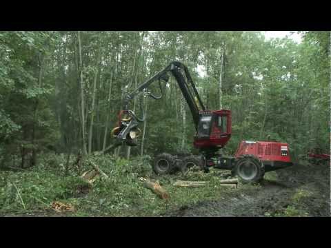 Forests - Russia's forests are the largest in the world and yet relatively little is know about them. What we do know is that they are hugely important to the global c...