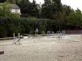 videos de marion a cheval