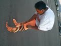 Chancho putting on tights