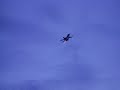F-16 Fuerza Aerea Venezolana Low Pass F-16 Fuerza Aerea Venezolana Low Pass