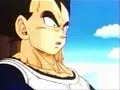 vegeta bulma