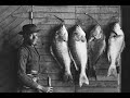 2nd-edition-historic-photos-of-machias-county-wide-tv-news.html