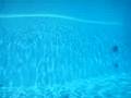 delfini a gardaland