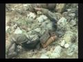 ww ii : rare color film : saipan and marianas