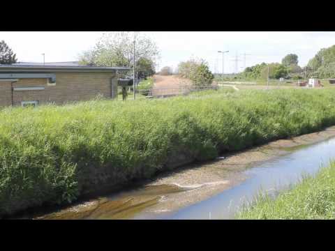 leimbach - Der Leimbach, von der Quelle bis zur Mündung. Created with MAGIX Video deluxe MX Plus.