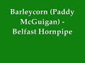 Barleycorn - Belfast Hornpipe
