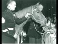 Sgt Reckless - Korean War Horse Hero