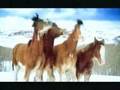 Clydesdale Snowfight!