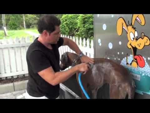 Demonstration Wash Video