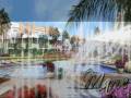 videos de TAM TAM FOREVER TUNISIE ALGERIE MAROC
