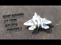 RC F22 Raptor at Dalang Airfield 1