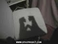 Sex of Shadows