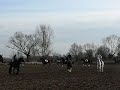 Runda Honorowa - Hubertus 2009