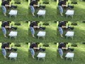Action Painting