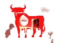 Torito