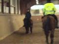 videos de Torsten