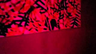 cenas de empresa fiesta