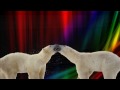 Slideshow-Vangelis-Theme From Antartica