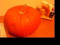 Pumpkin Massacre Pumpkin Massacre